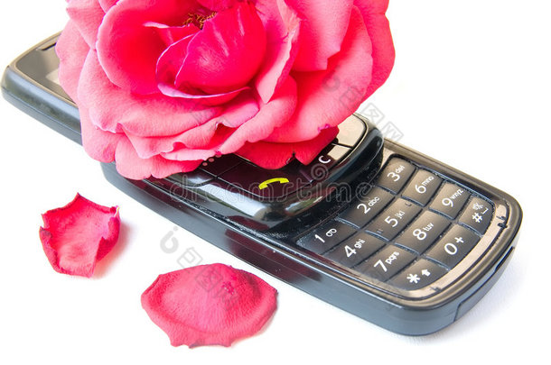 手机和玫瑰