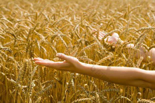 女人向麦子伸出双臂