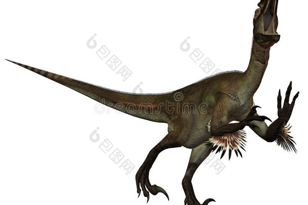 乌塔拉托尔-奥斯特罗马约姆-3d恐龙