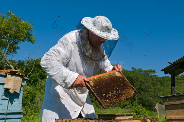 养蜂人32
