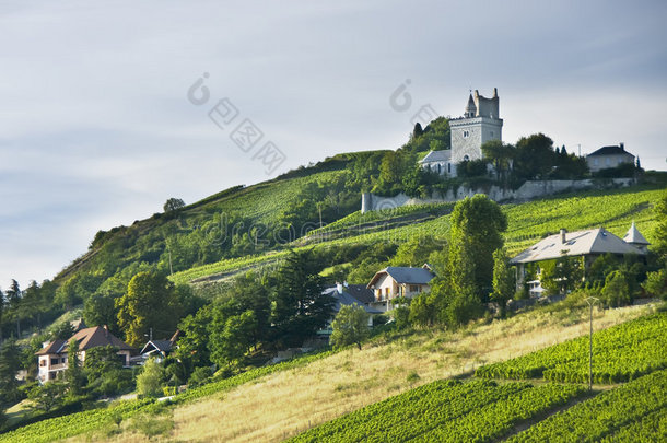 法国城堡和葡萄园