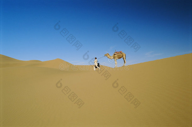 沙漠中骑着倔强骆驼的人