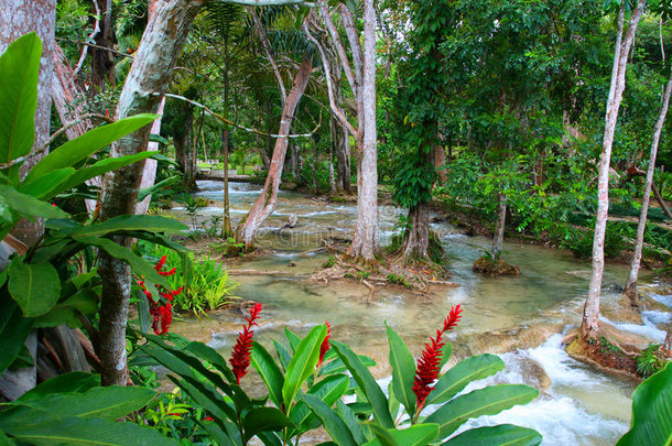 dunn's river falls，<strong>奥</strong>乔<strong>里奥斯</strong>，牙买加