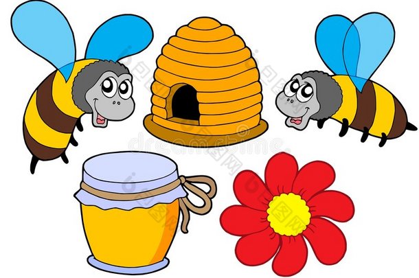 蜜蜂和蜂蜜收藏