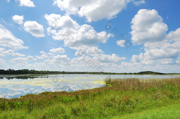 人造湿地-奥兰多湿地公园