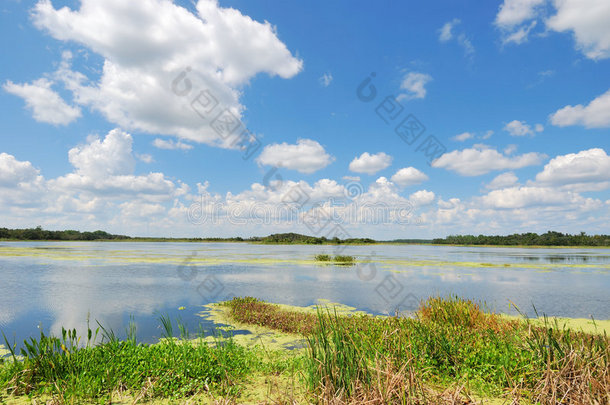 人造湿地——奥兰多湿地公园3