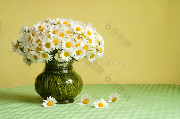 桌上有一束浓郁的雏菊花