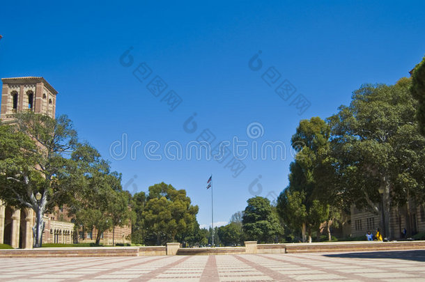 大学校园及旗草坪