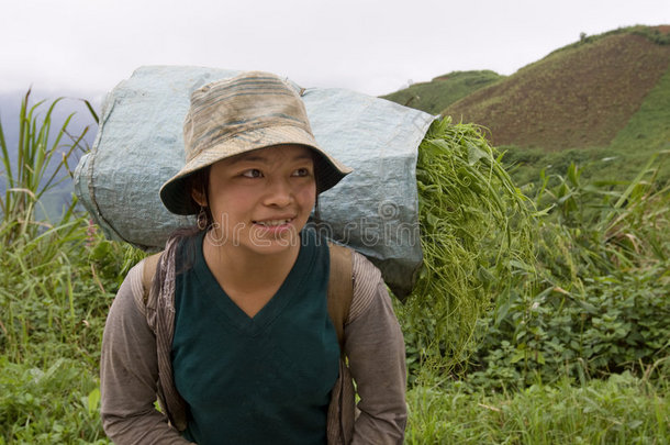 <strong>苗族</strong>向老挝山谷运送蔬菜