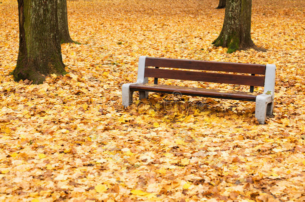秋季长凳