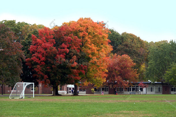 秋季小学