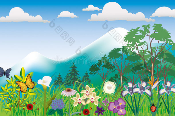 山景花卉插画