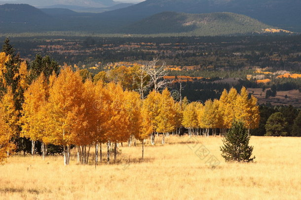 亚利桑那州秋季彩色旗杆（4）