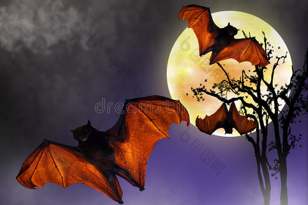 满月万圣节蝙蝠