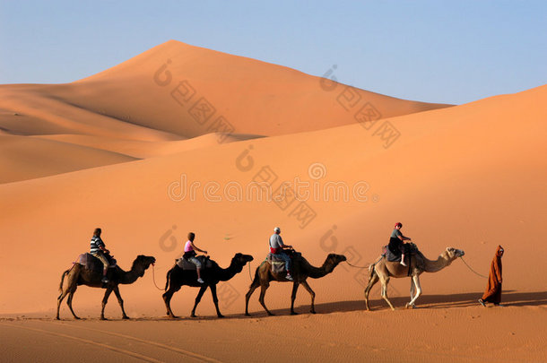撒哈拉沙漠中的<strong>骆驼</strong>车队