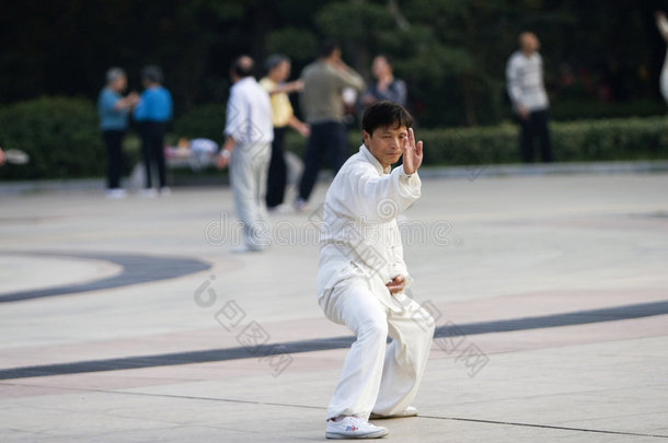 中华武术太极拳