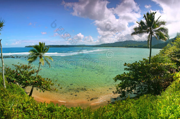 夏威夷考艾岛热带度假景观