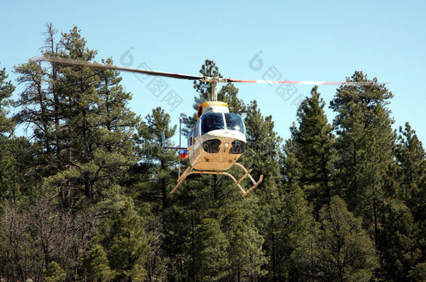 森林中的直升机