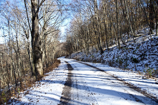 冬季道路/雪