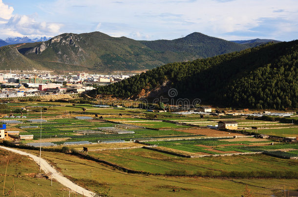 田野和山脉