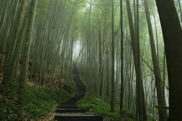 冒险向前地阿里山亚洲亚洲的