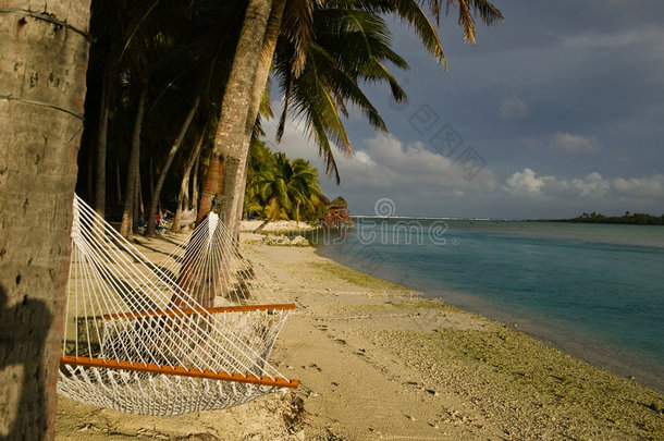 棕榈树下的热带海滩吊床