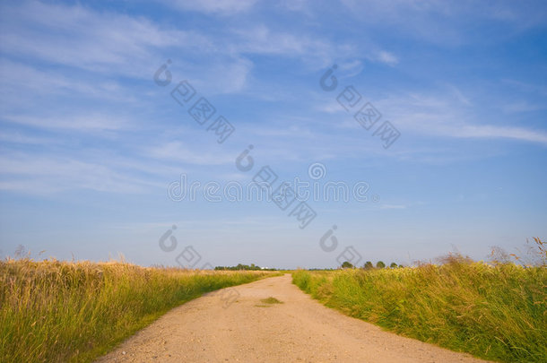 乡村公路槽农耕景观