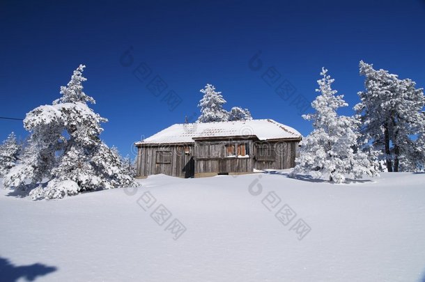 雪中送炭