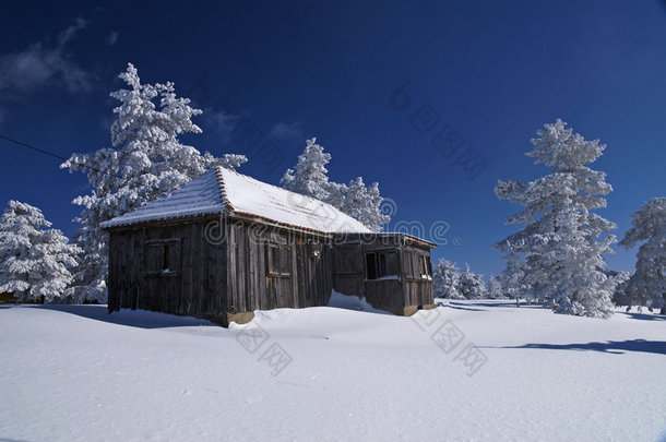 雪中送炭