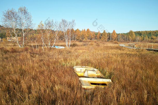 林边枯草中的孤舟