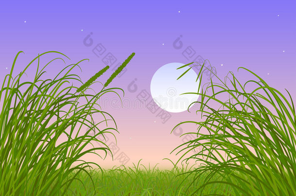 绿草满月夜空