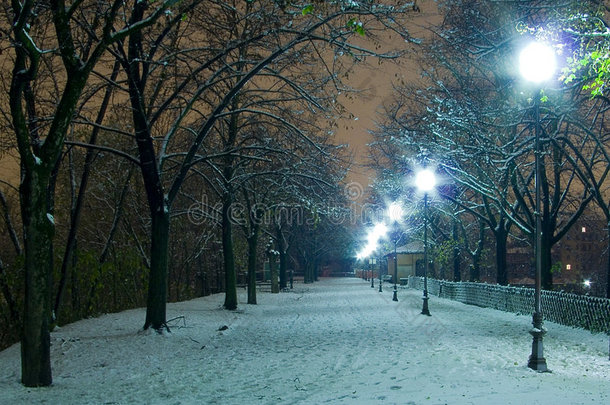 雪夜公园