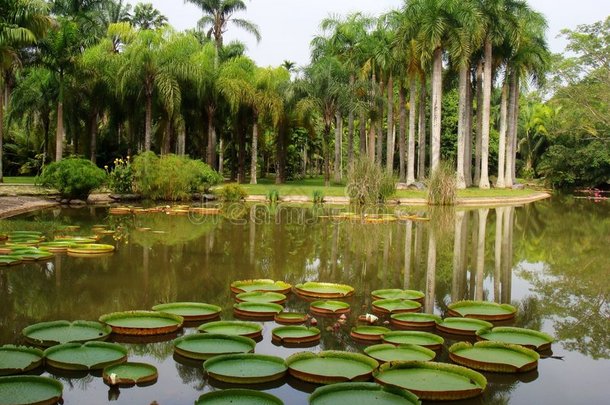 植物园