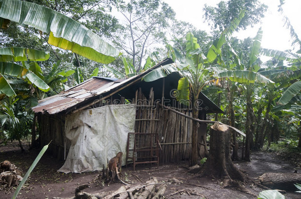 尼加拉瓜玉米岛典型住宅