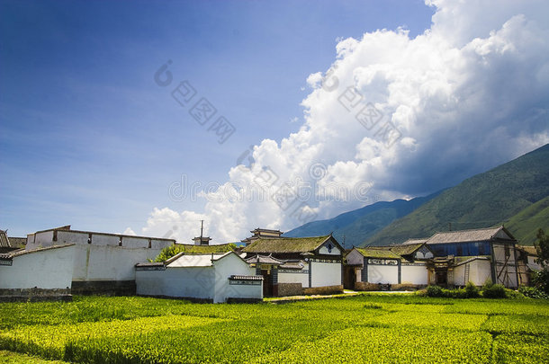 乡村风光