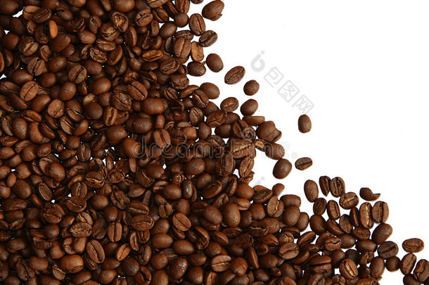 白咖啡豆