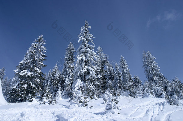 冬季景观8