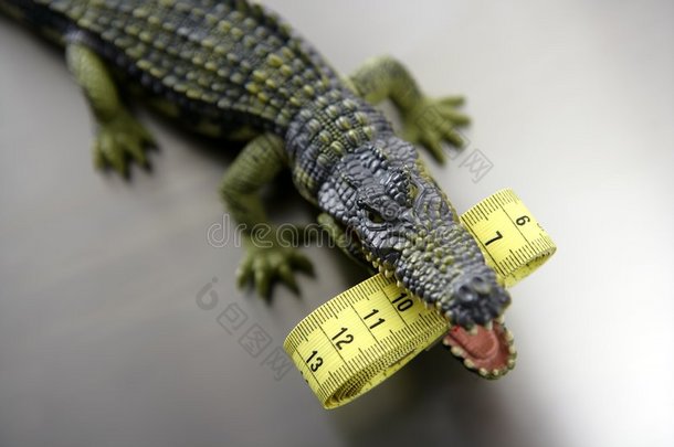玩具鳄鱼，厘米卷尺