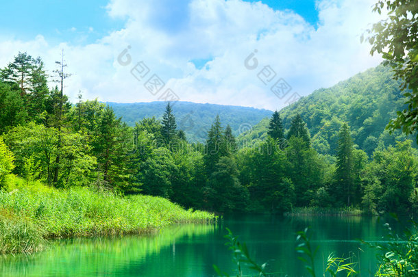 森林深处的湖泊