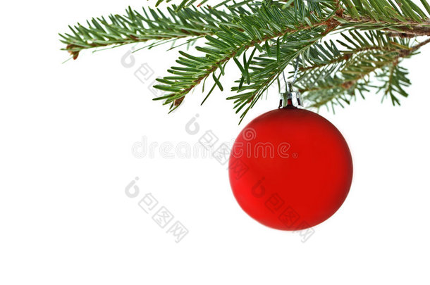 圣诞树上的红色装饰品
