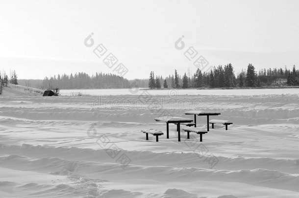 冰雪覆盖的湖泊和岛屿