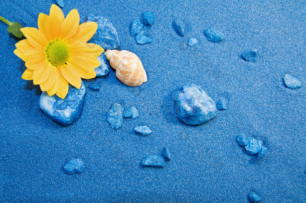 <strong>暑假</strong>-蓝沙海滩和鲜花