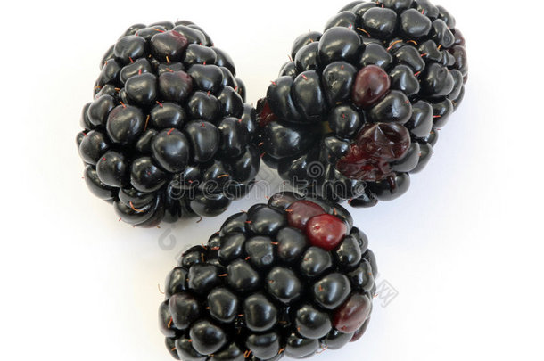 黑莓；白色背景上的对象