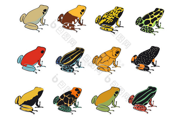 毒镖蛙的颜色和图案