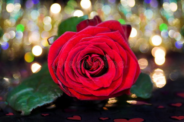 欢庆爱情-仙女灯上的红玫瑰