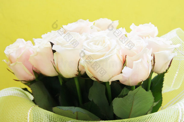 一束美丽的淡粉色玫瑰花
