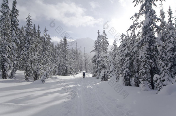 山地滑雪