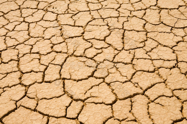 沙漠中干涸的土地