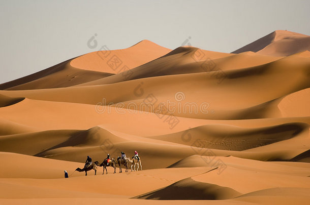 在沙漠中行走