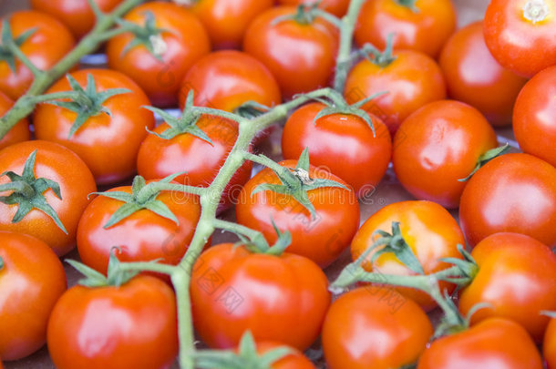 菜市场的番茄